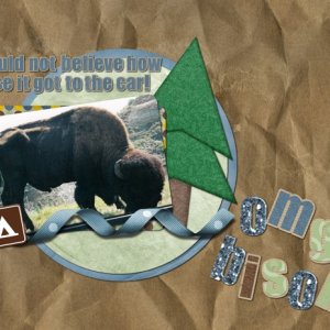 omg bison