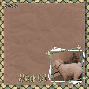 Attack Cat