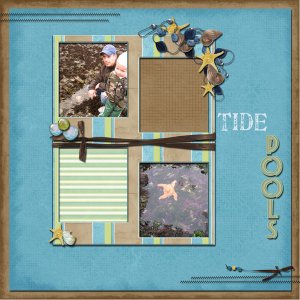 Tide Pools Left