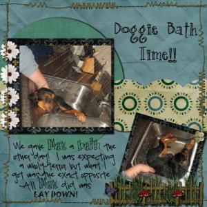 Doggie Bath Time