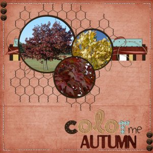 Autumn Love
