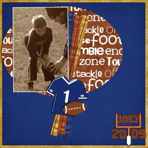 2009 season
