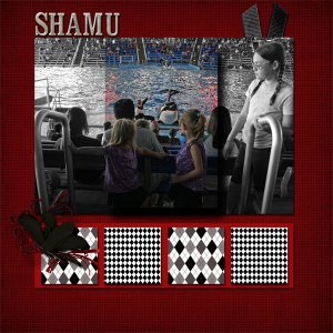 Shamu