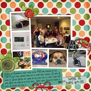 2013 - Week 25