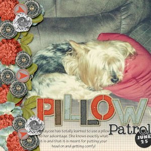057-06-13-PillowPatrolByCFALBRO