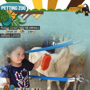 Petting Zoo