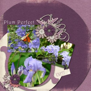 Plum Perfect