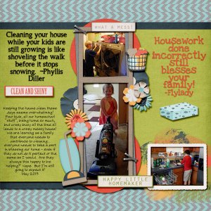 HouseCleaning0513