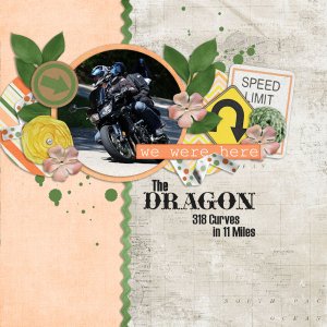 The Dragon