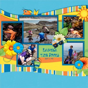 Laguna Tide Pools