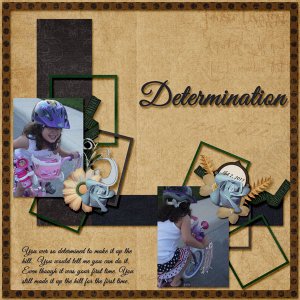 Determination
