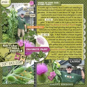 Battle of The Bull Thistle