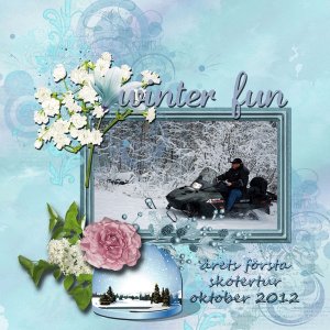 winterfun