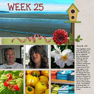 2013_Week_25