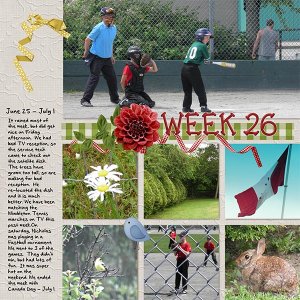 2013_week_26