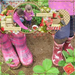 Berry Sweet