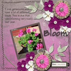 Bloom5