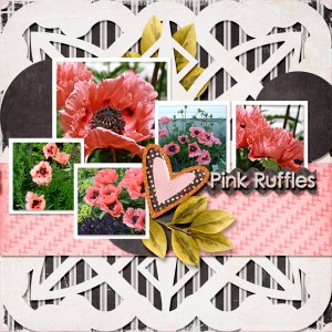 Pink Ruffles