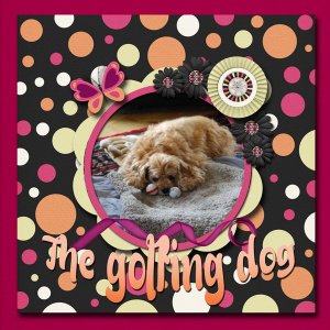 The_golfing_dog