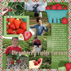 Strawberry Fields