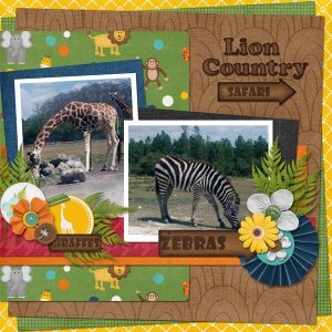 Lion Country Safari