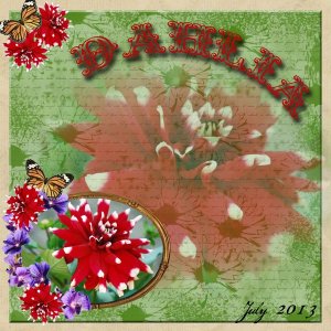 Dahlia_july_2013