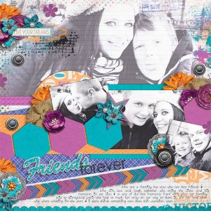 Friendsforeversmall