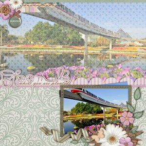 Epcot-Memories