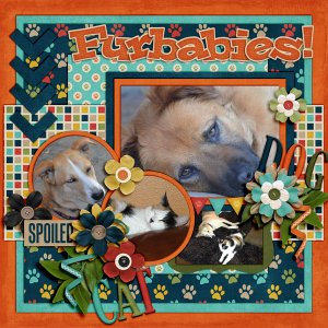 Furbabies!