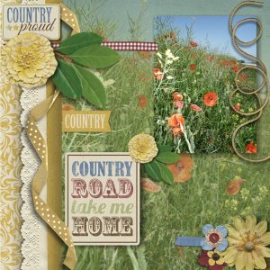 country