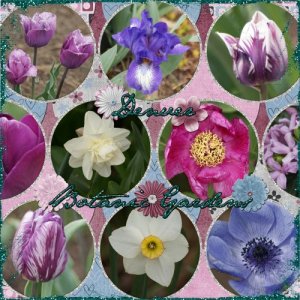 Denver Gardens