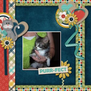Purr-fect