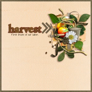 harvest.