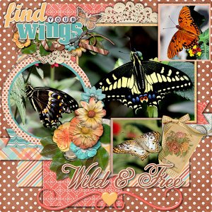 Fly - Be Free