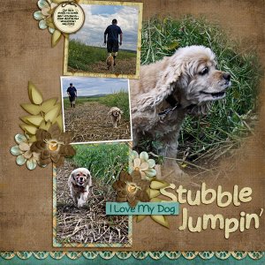 Stubble Jumpin'