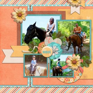 wildandfree_templatopia_altimasport