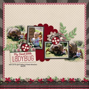 Little ladybug
