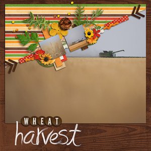 Wheat Harvest