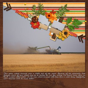 Wheat Harvest