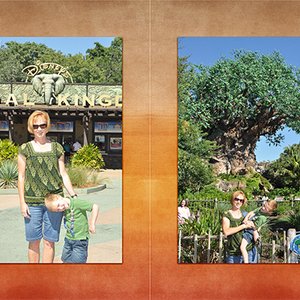 Animal Kingdom