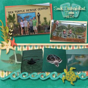 dkb_seaturtles_SPI12_copy