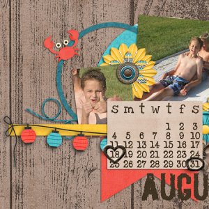 Aug Desktop Challenge