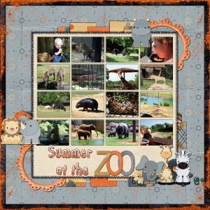 Summer at the Zoo