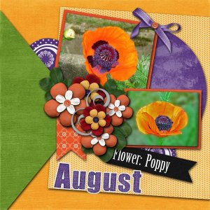 Poppy
