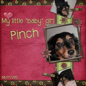 Template_Challenge