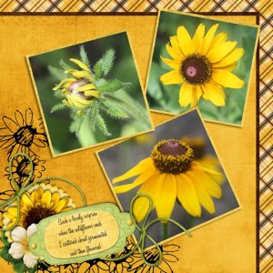 Wildflowers