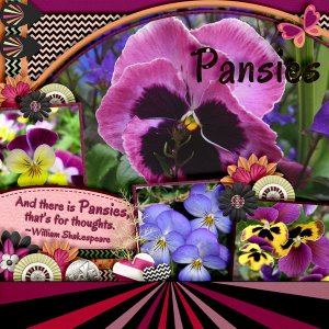 Pansies