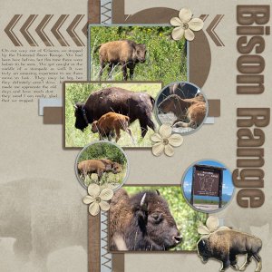 Bison Range R