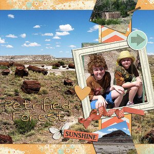 template 1 2013-08 Petrified Forest