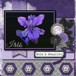 Iris